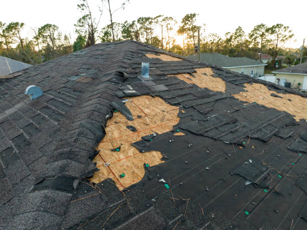 Best Skylight Installation and Repair  in Lyons, GA