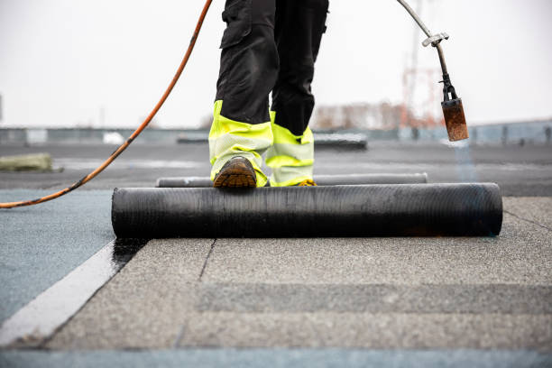 Best Asphalt Shingle Roofing  in Lyons, GA